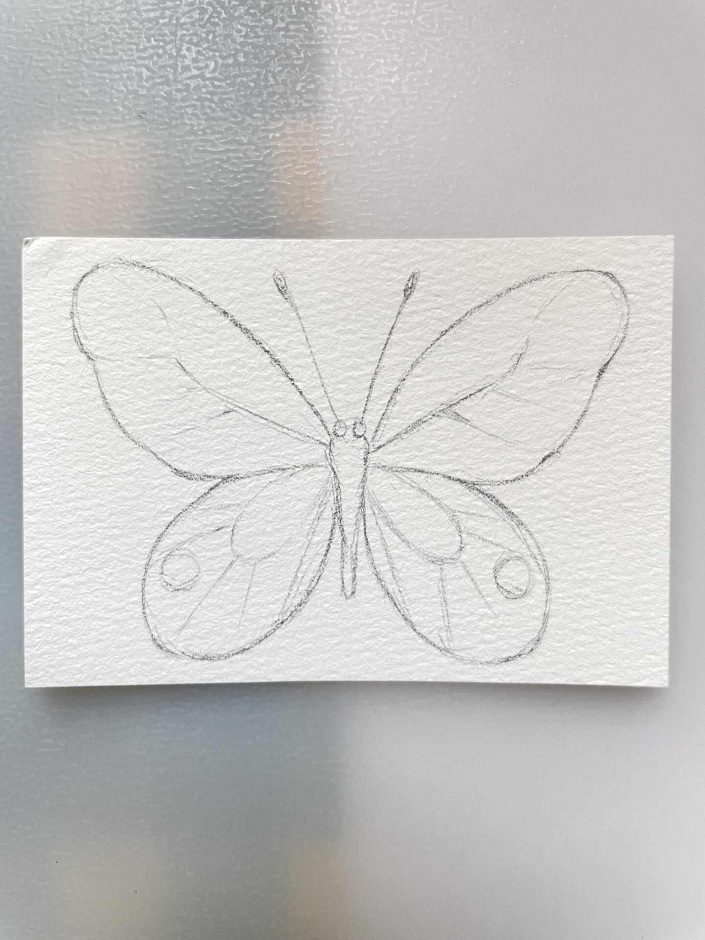 自制蝴蝶03马克笔手绘|附教程