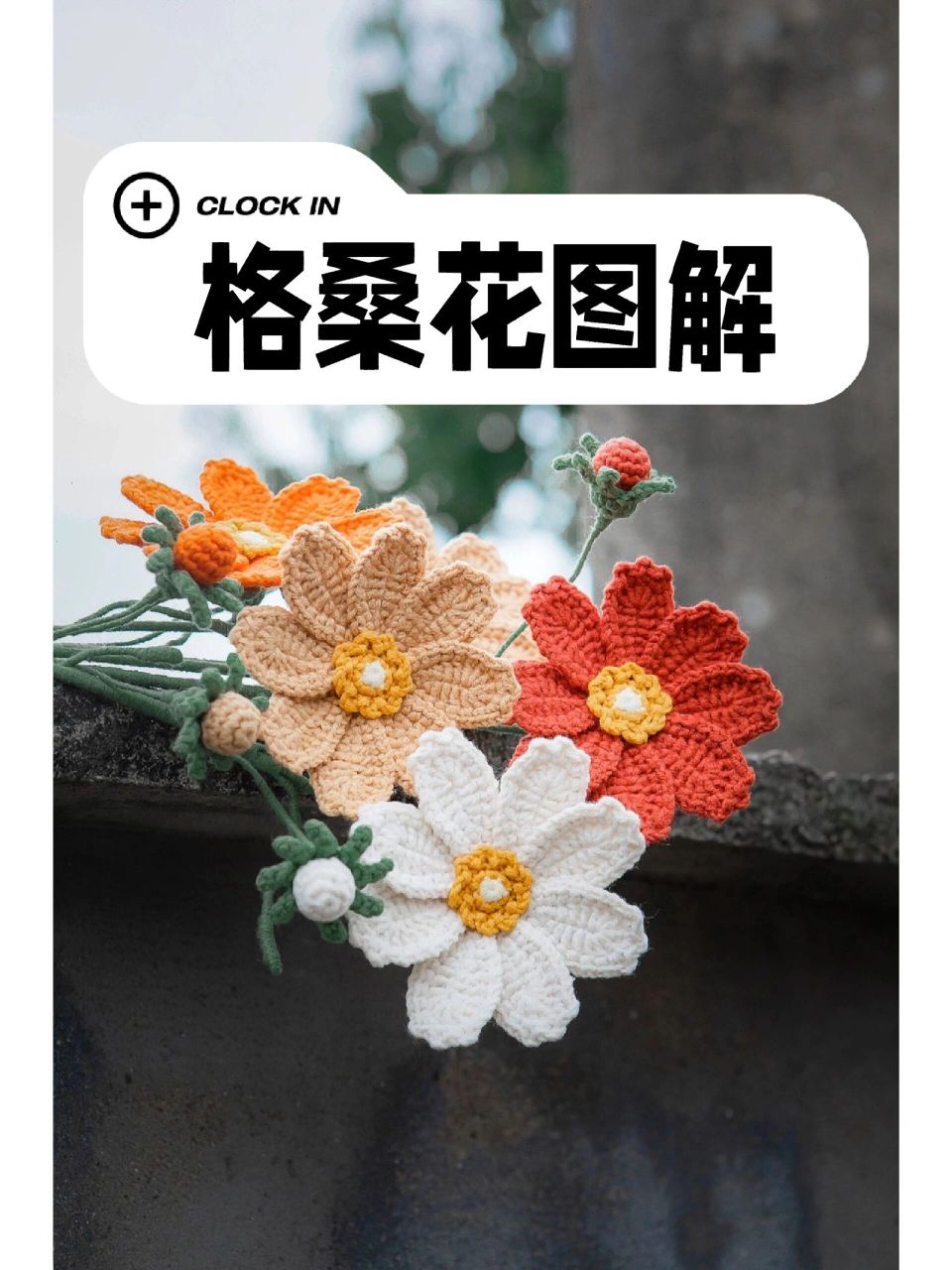 格桑花图解 格桑花钩织图解分享‖来自橙子手作