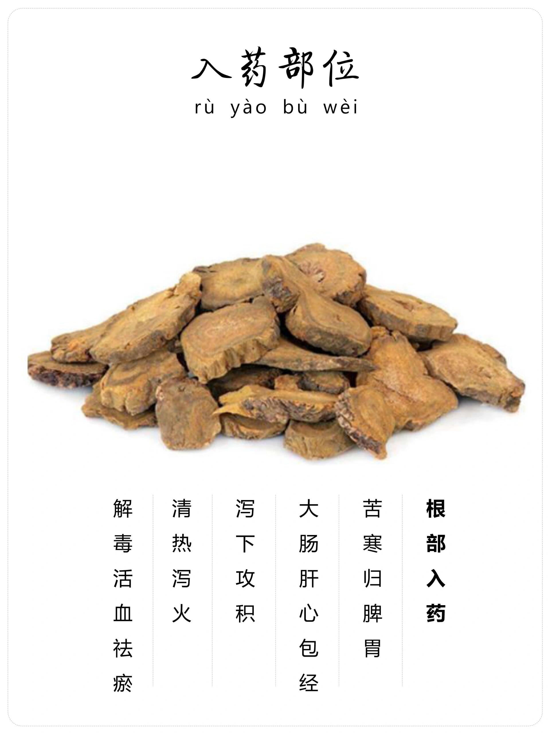 每天认识一味中草药-大黄7815-泻下攻积