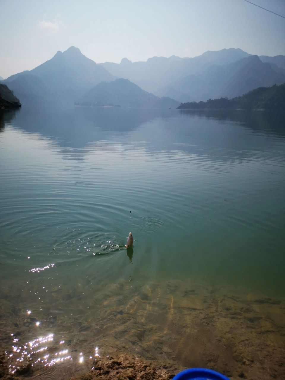 浙江景宁千峡湖开车直达钓鱼露营地 从浙中东阳出发到龙泉爬了浙江第