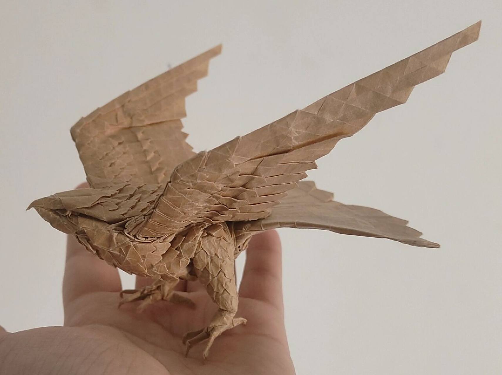 折纸隼 96等分,55cm的原色牛皮纸,建议用全开容易翻麟,最后两张是cp