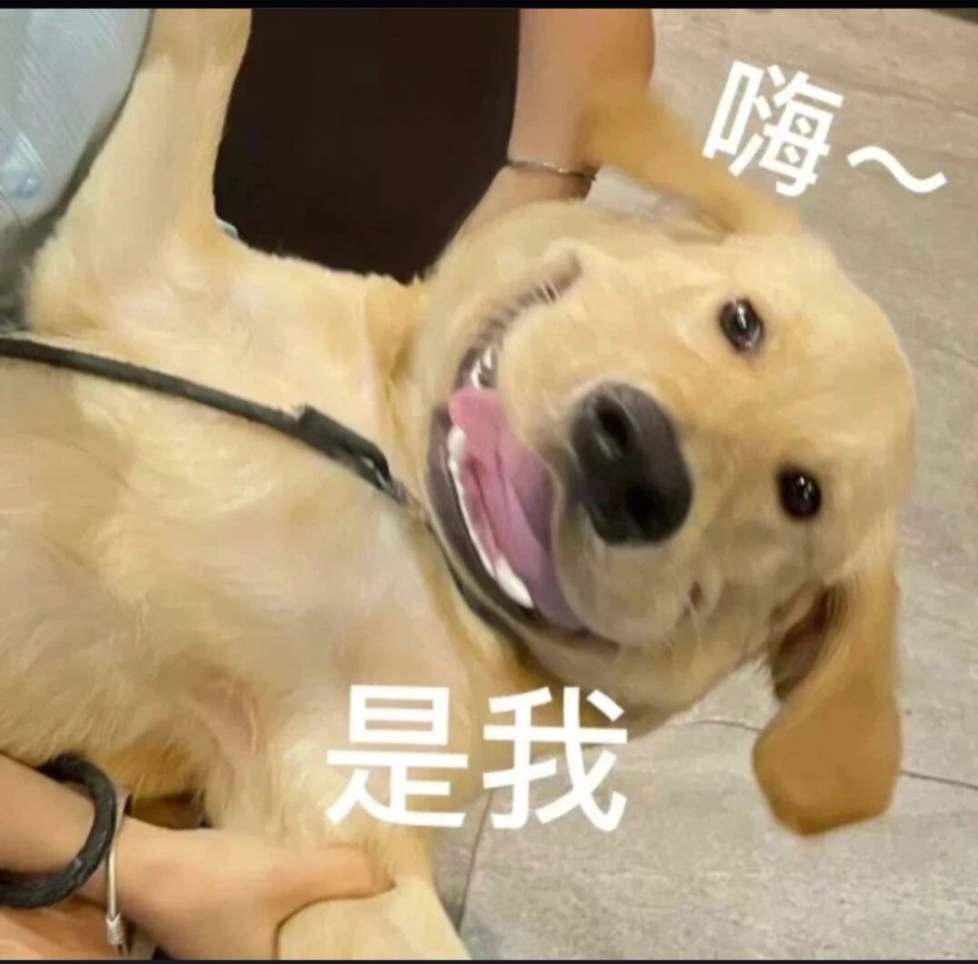 打招呼表情包