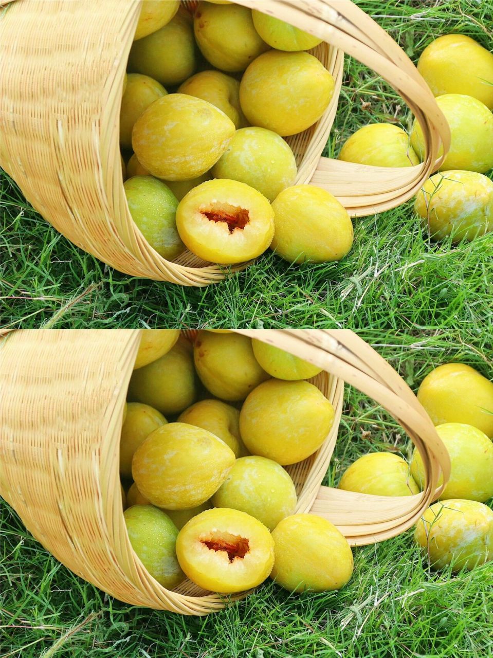 来自湖南郴州的黄金奈李 只需要一口咬下去,汁水清甜,果肉饱满!
