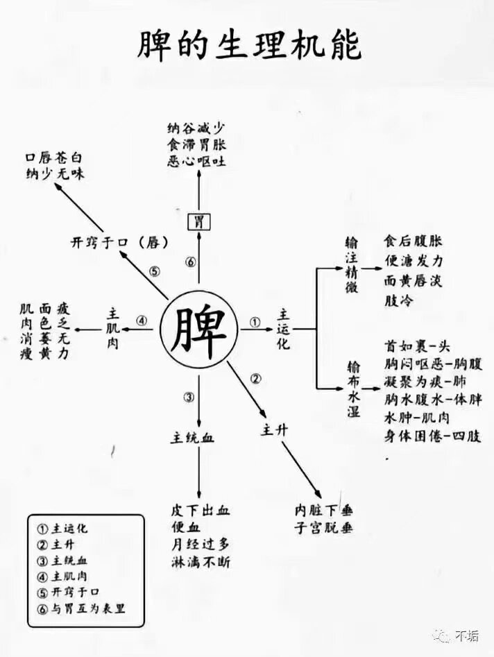 脾的作用 脾是后天之本 脾主运化【水谷精微,水湿 脾主统血(有脾气