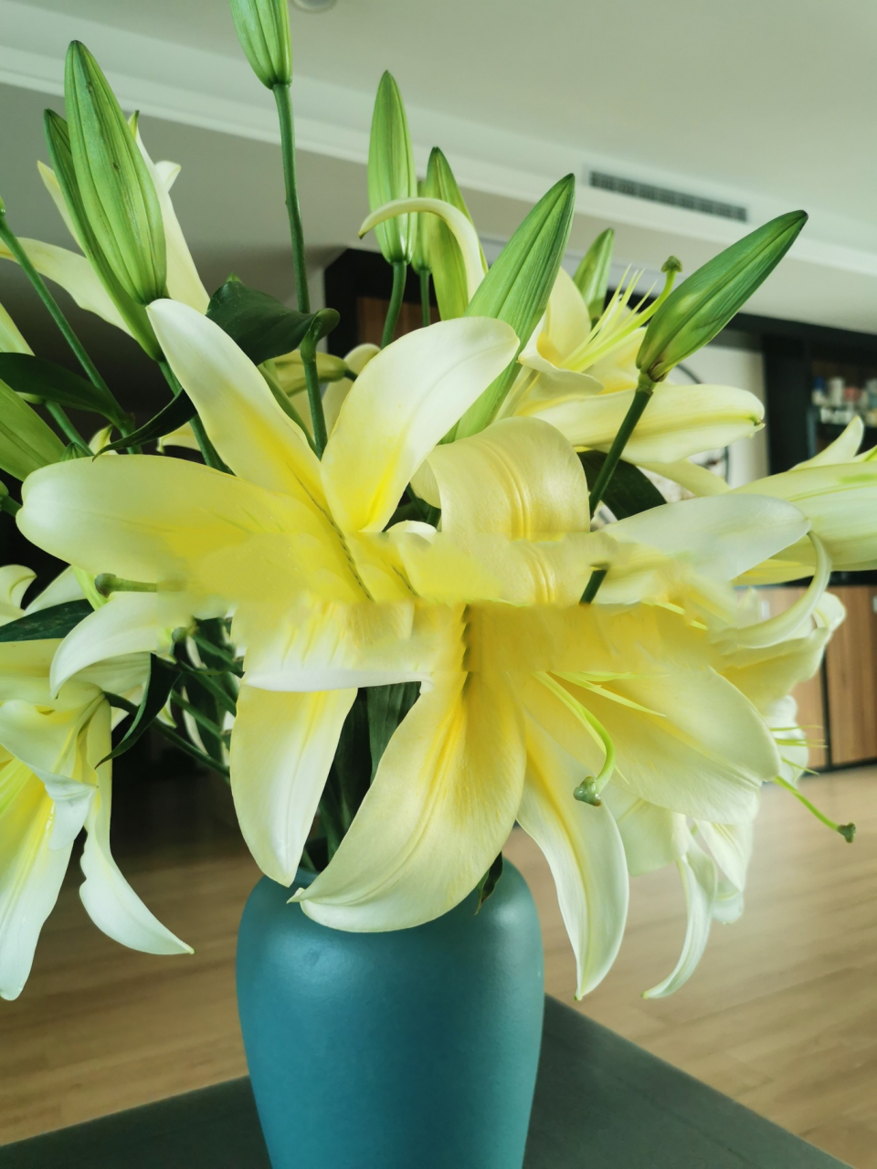 a级多头黄金甲百合 a级多头黄金甲,开花直径远超30cm,杆子粗,花苞又大