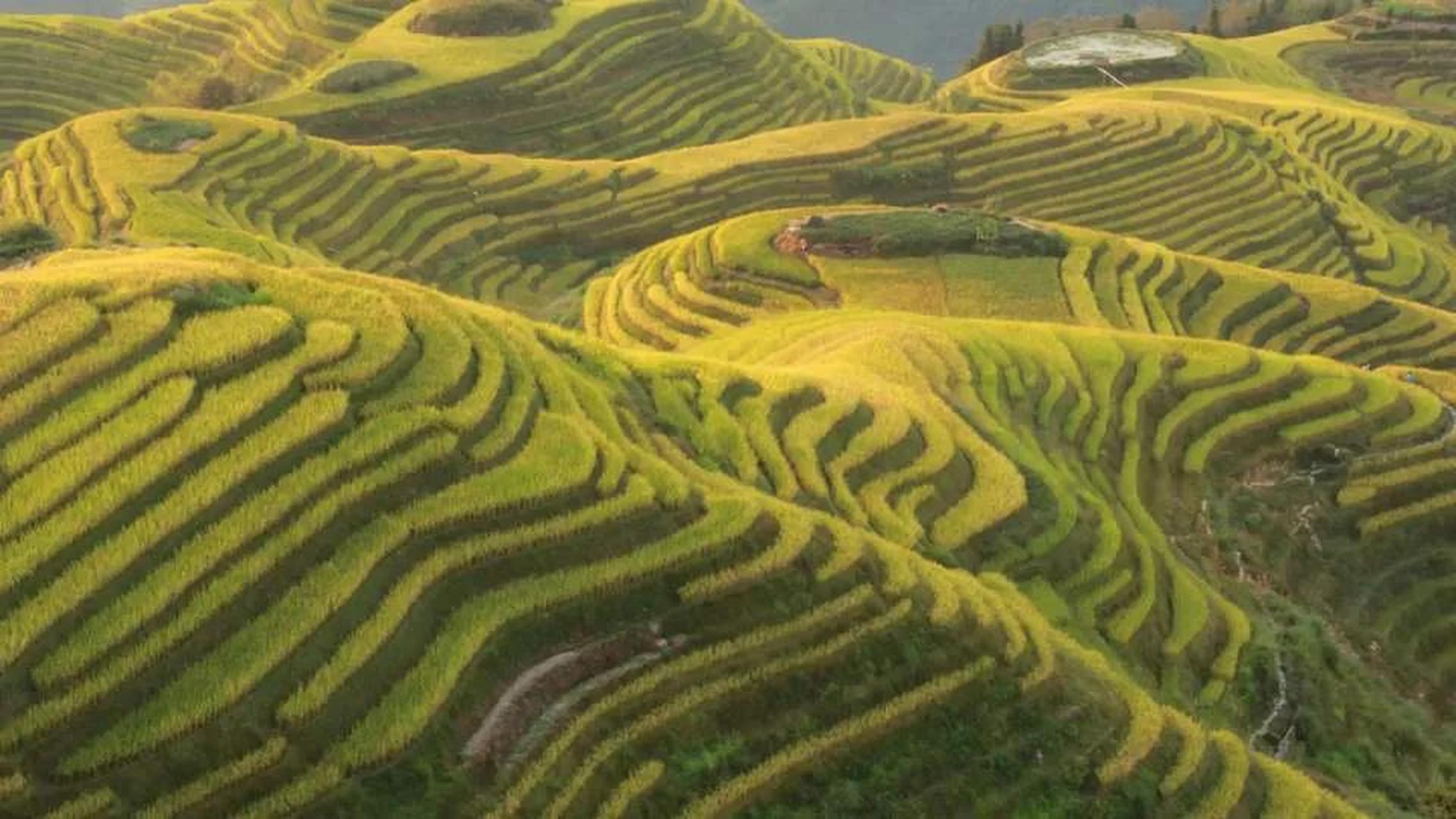 广西的西南官话一般叫桂柳话.即以桂林和柳州两地所说的话为代表.