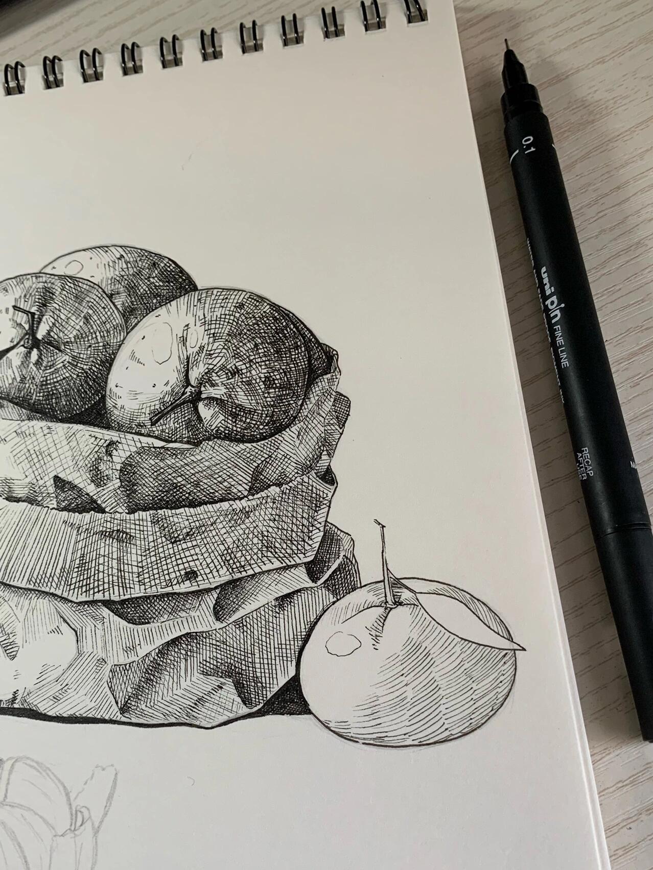 针管笔画 | 纸袋橘子水果速写 附线稿过程 剥皮的橘子没画好 黑白灰面