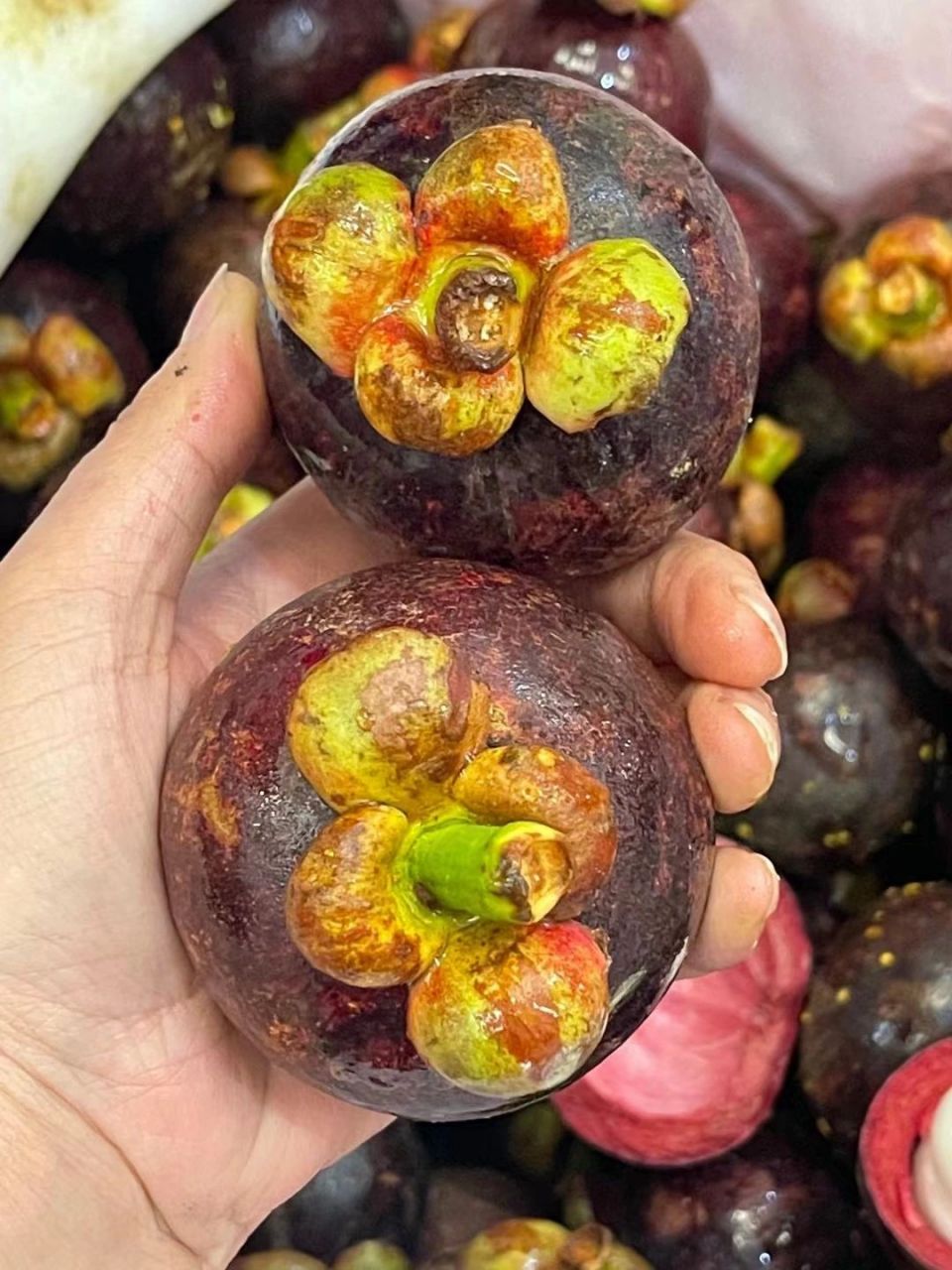 今日介绍:山竹 山竹的类型一般按外观整洁度与结果年限为依据,可以将