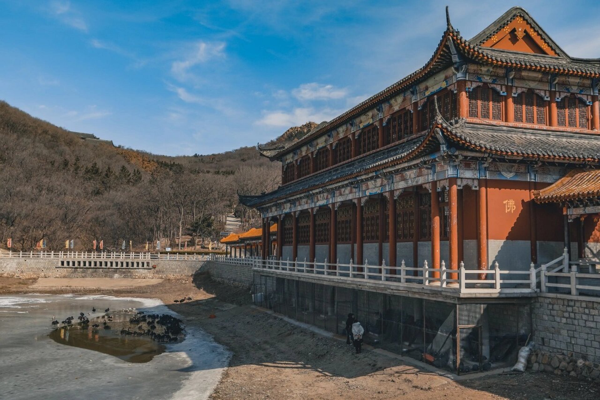 莱州大基山森林公园 -风光摄影- 大基山,是全球华人中过,戈,柯,任等十