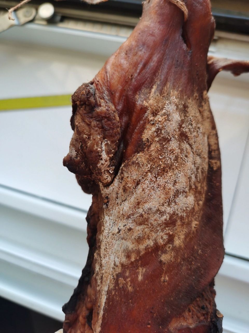 腊肉晒了俩天,今天看到有白色的是发霉了吗 腊肉晒了俩天,今天看到有