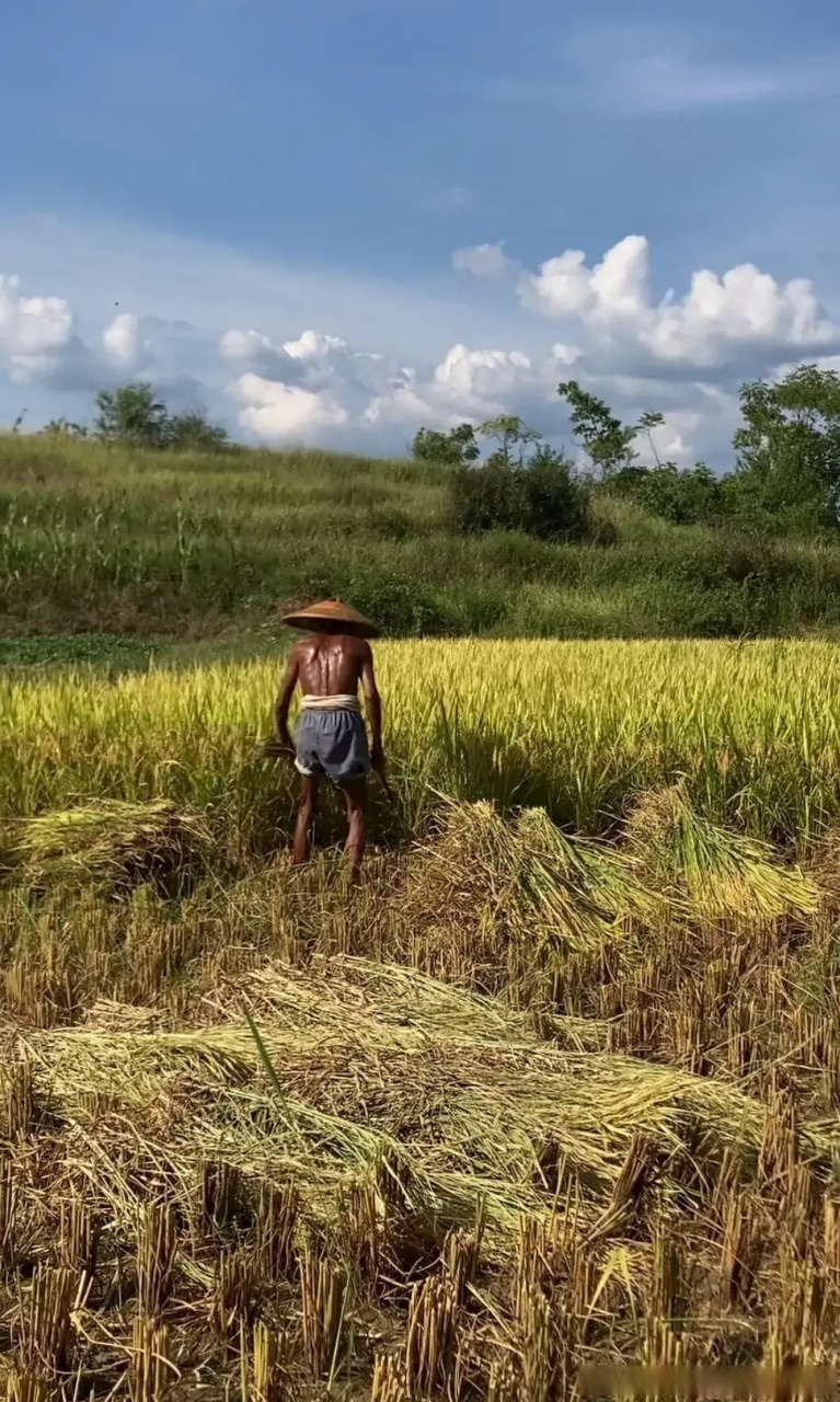 佝偻的背影,黝黑的皮肤,布满老茧的双手,颤巍的双腿,老爷爷这背影要是
