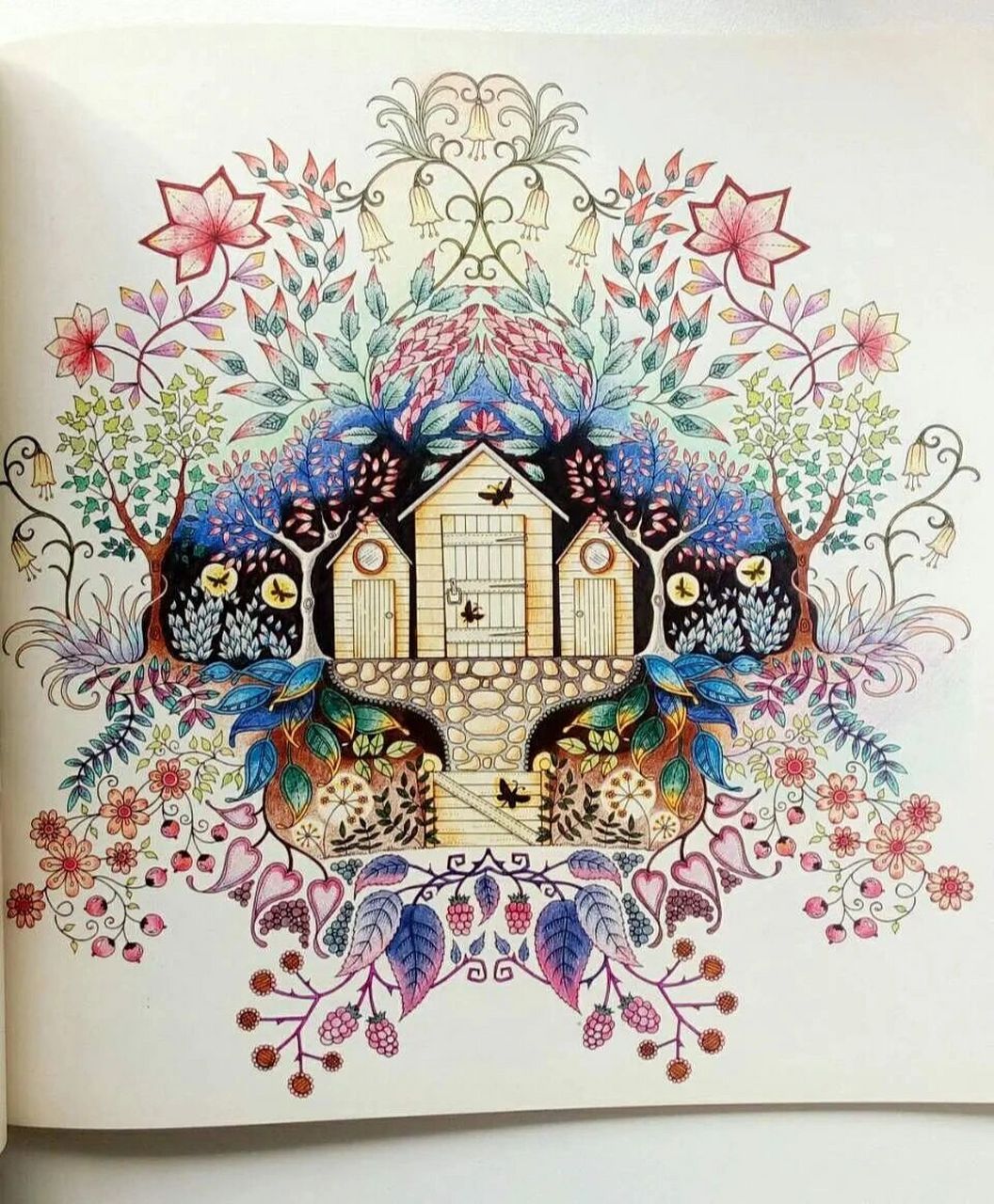 涂色:秘密花园-静默的屋子 by《秘密花园》乔安娜.古早作品.6年前