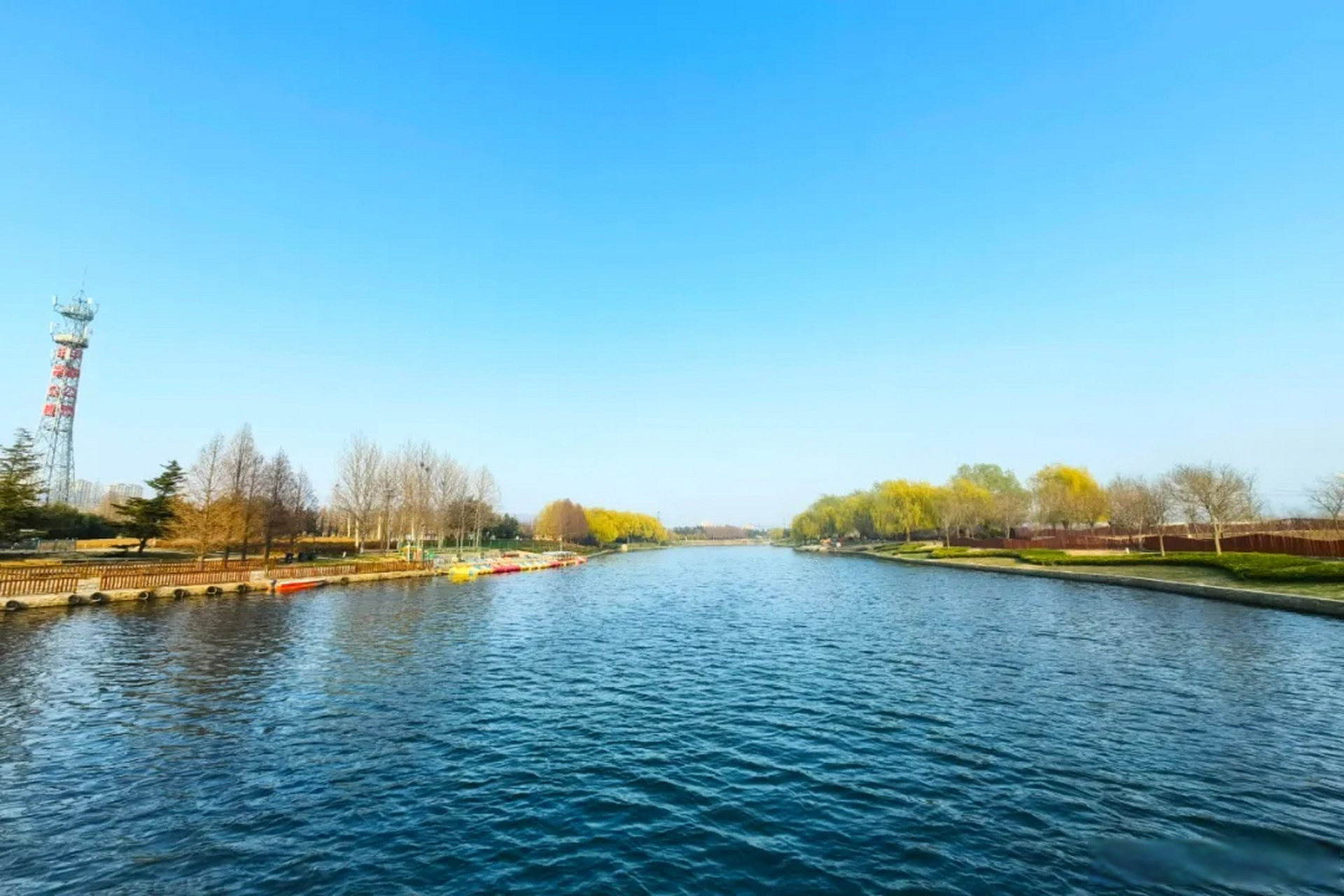 春季的羊亭河湿地公园上,花儿们都热闹起来了,处处可见嫩绿的草地