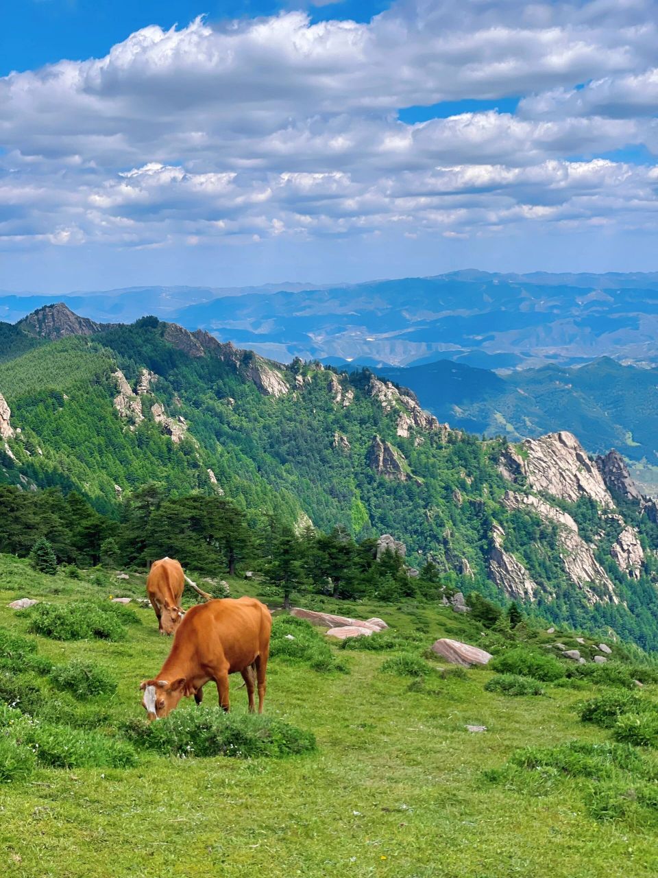 景区三条线: 【西线】马伦草原—芦芽山—情人谷 【北线】悬空村