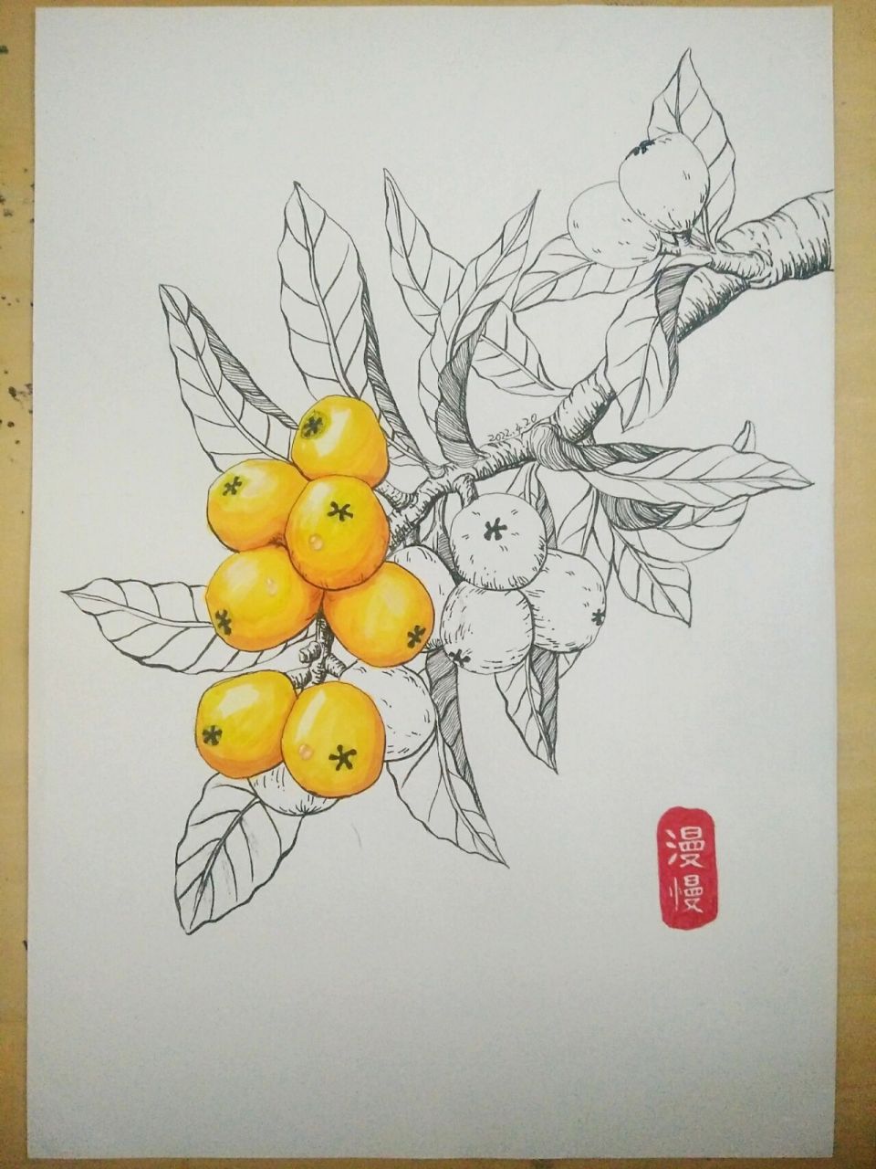 枇杷儿童画线描绘画原创 原创不易,临摹,搬运请注明出处,并