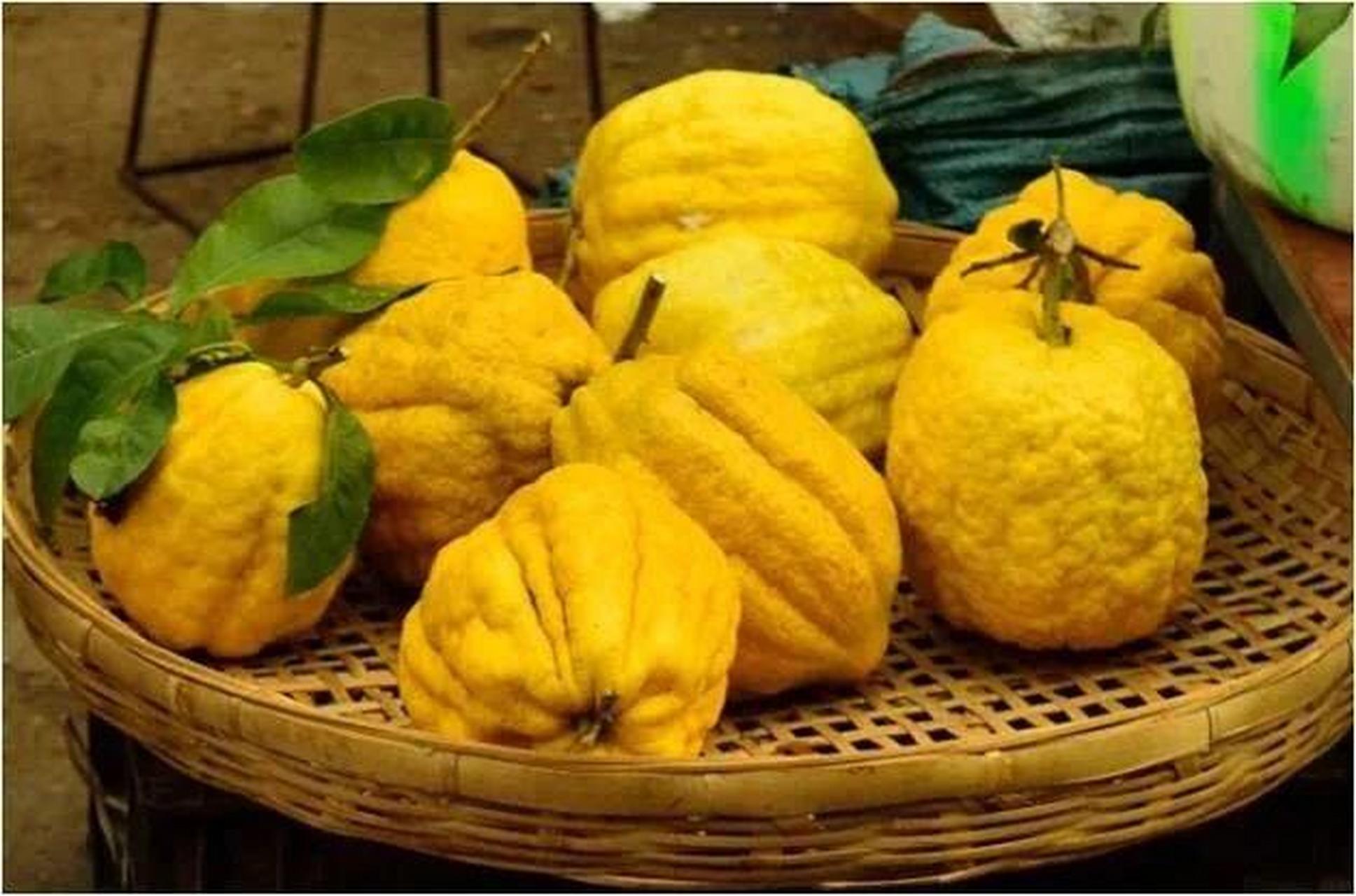 每天认识一种中药——香橼 名称:香橼65类别:理气药65拼音:xiang