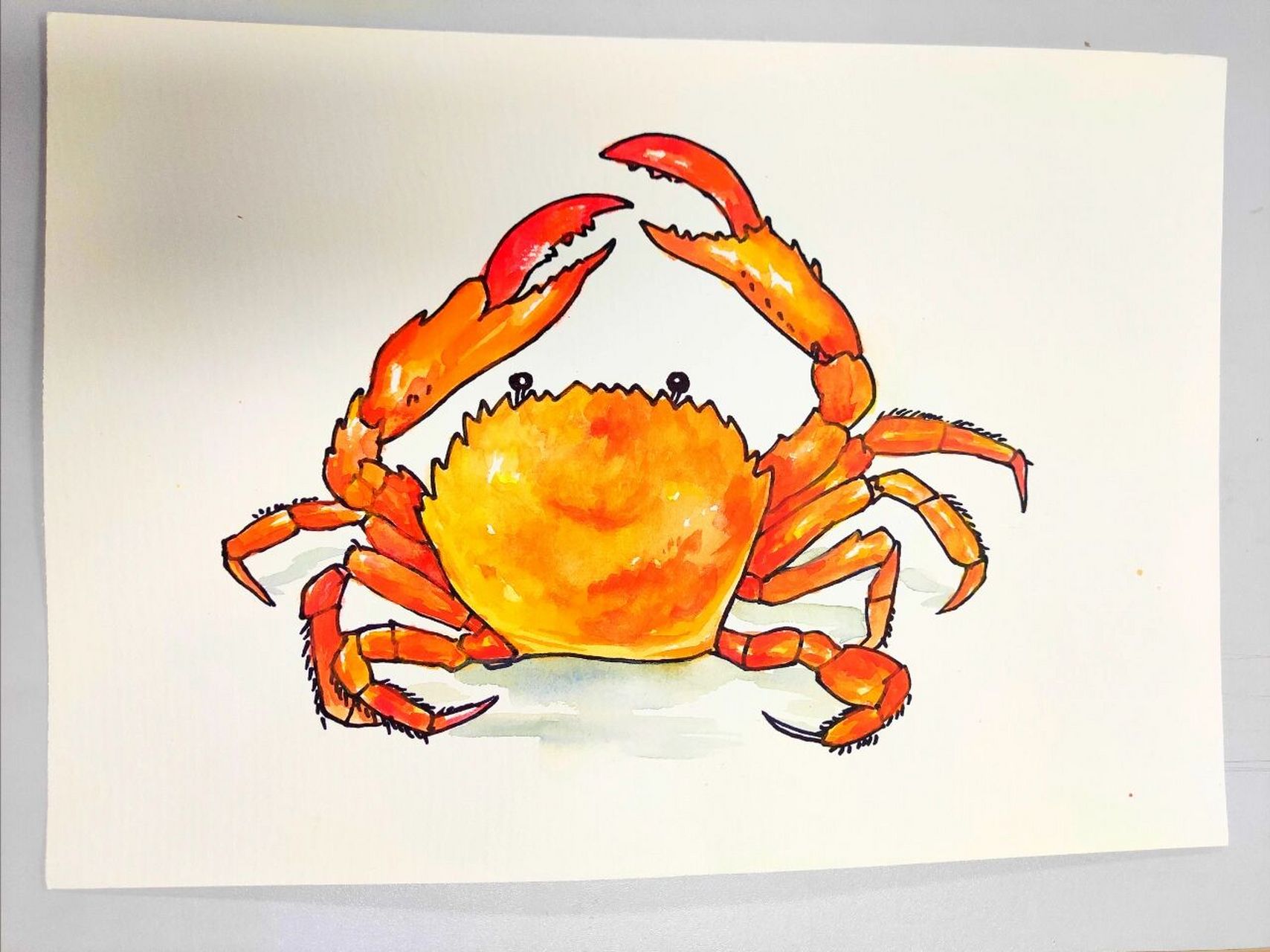 儿童画打卡no.142大螃蟹 坚持每日一幅画,每天进步一点点96 .