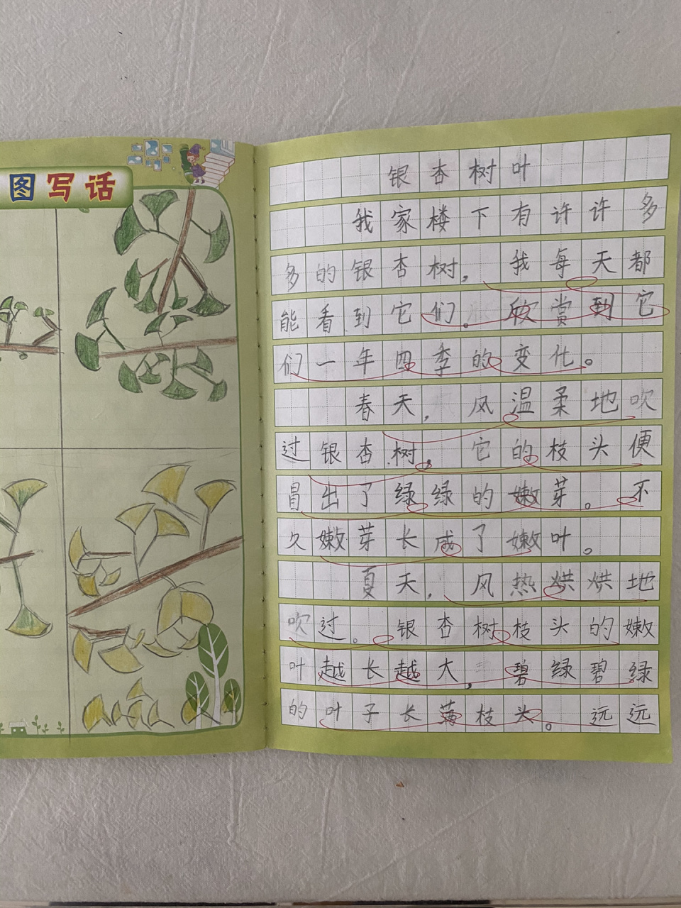 小学生作文《银杏树叶》 二年级(上)画图写话 虽然每一次认真的写话都