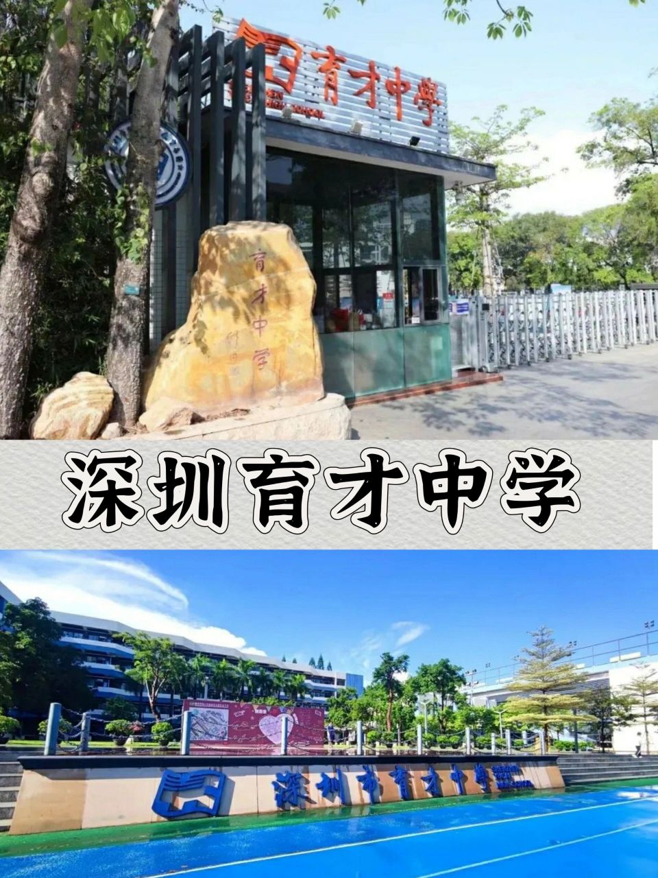 深圳育才中学:谁的梦校谁的青春谁的母校 育才中学地处与香港隔海相望