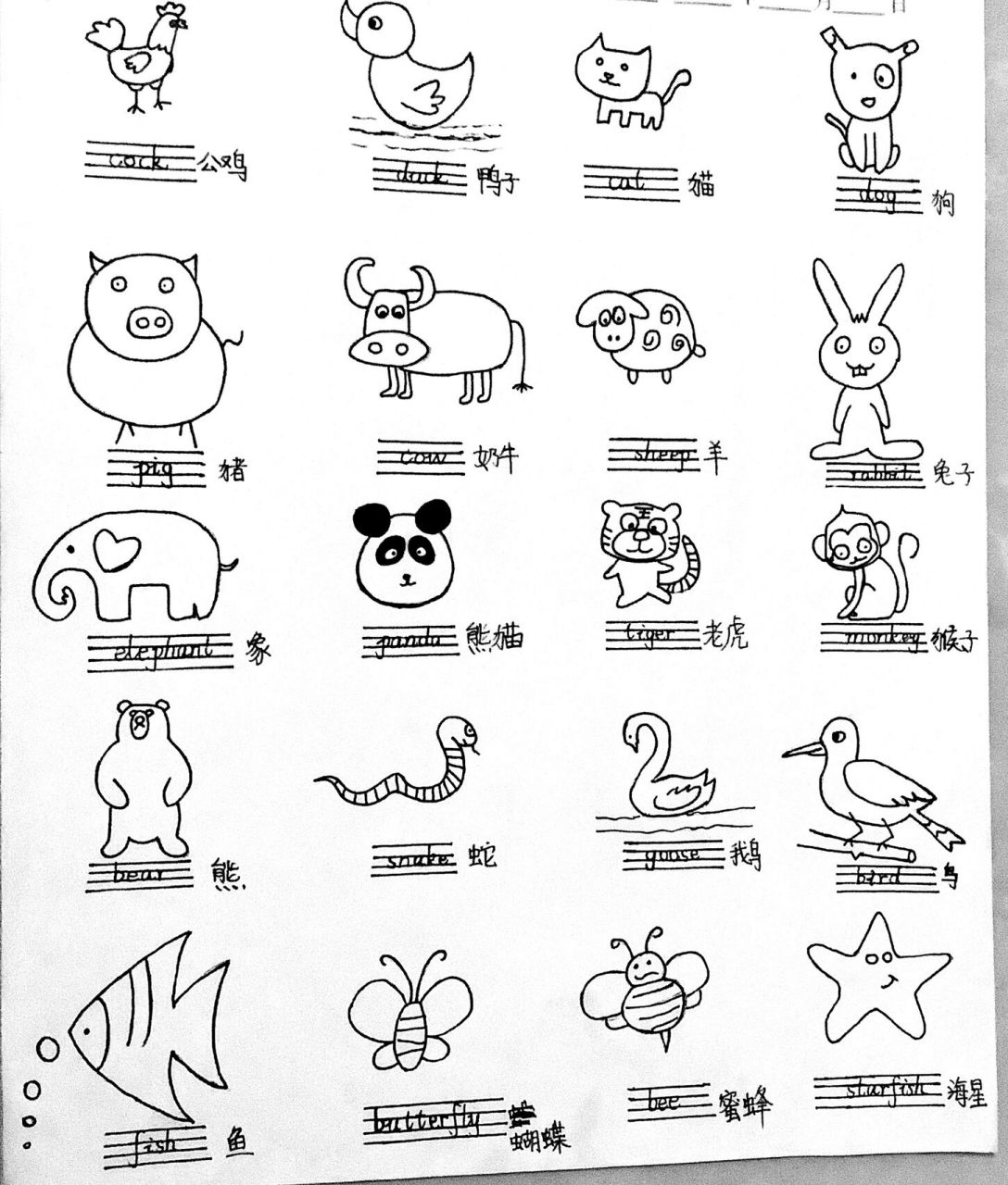 英语简笔画1    《动物篇》超级可爱!