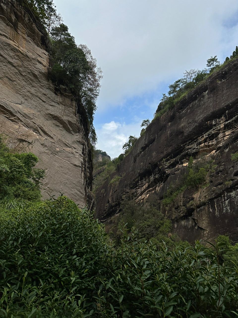 探山场之牛栏坑 	 - 	 武夷岩茶的众多山场之中,两旁有山,中间沉陷