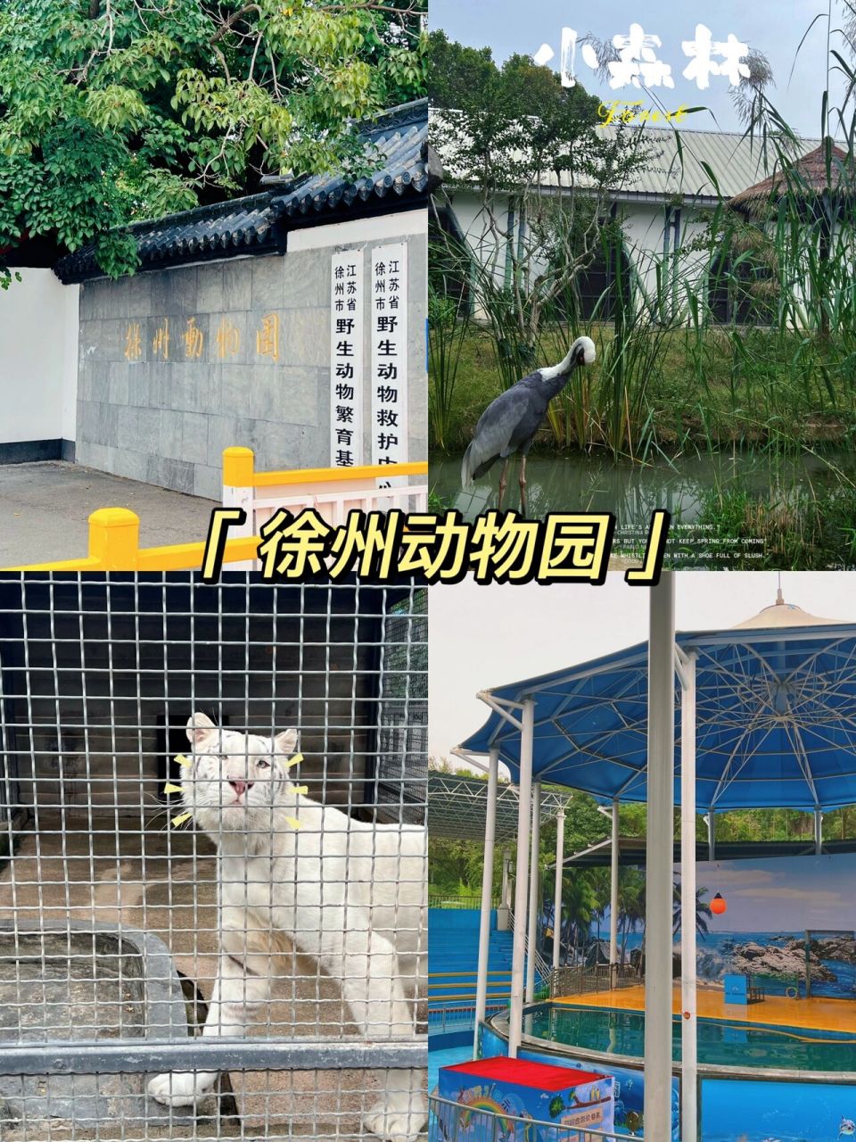 徐州动物园//去不了大的97咱就去小的05 -徐州市泉山区泰山路21-1