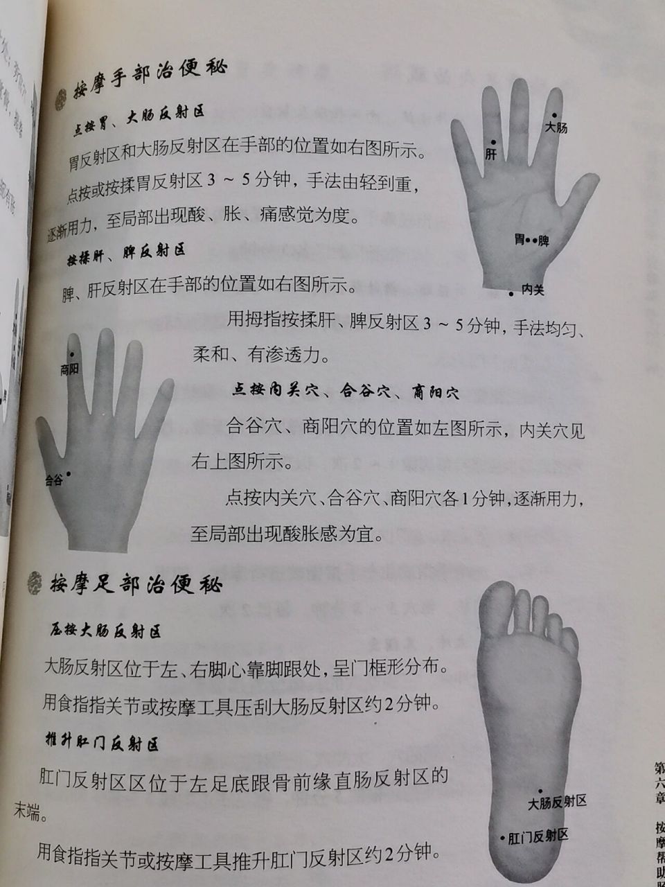 如果便秘,可以按揉耳朵的这个位置 图认识耳穴 人的耳朵是一个非常