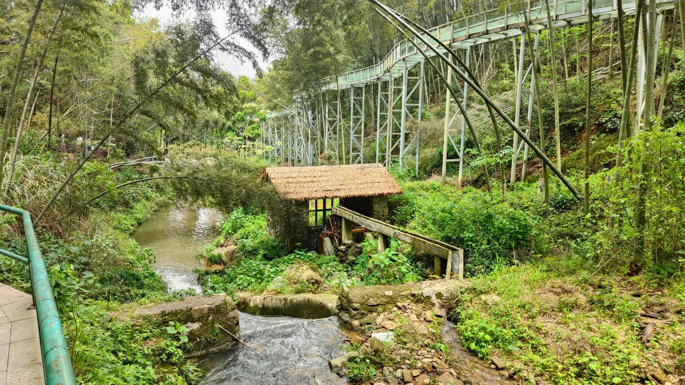 南昌梅岭狮子峰一日游较详细攻略    一,出行方式:1.自驾游 2.