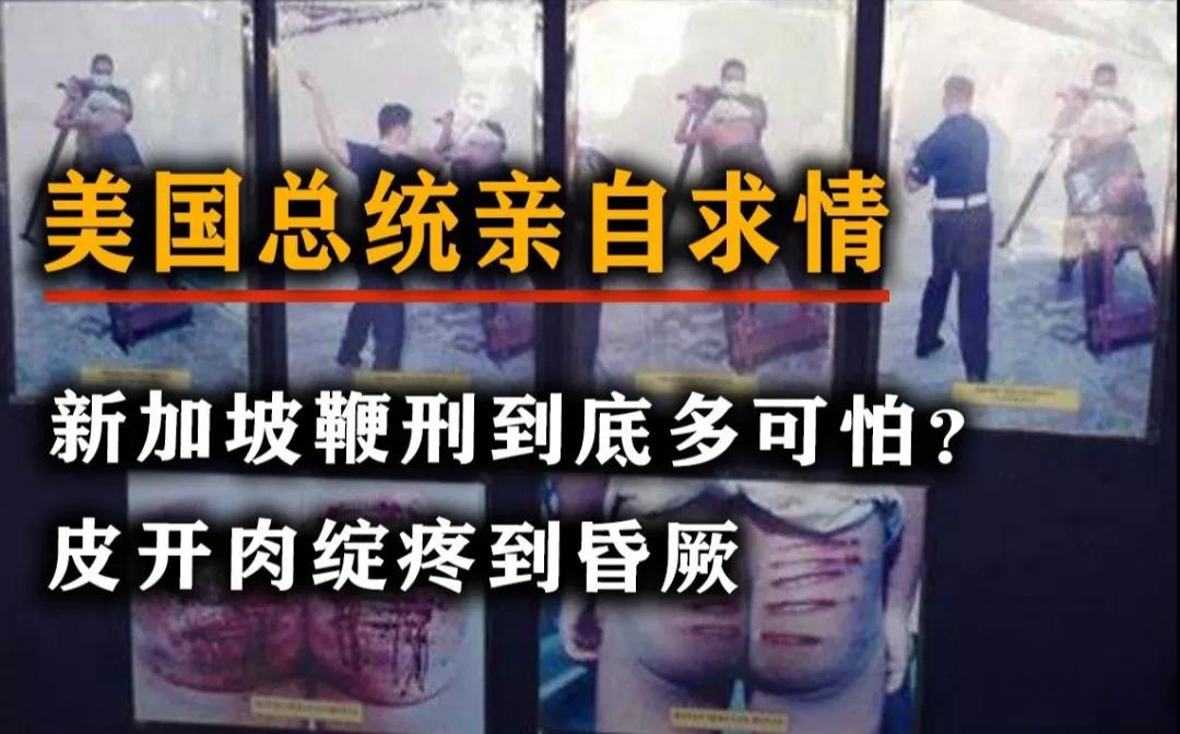 美国是一个言论自由的国家