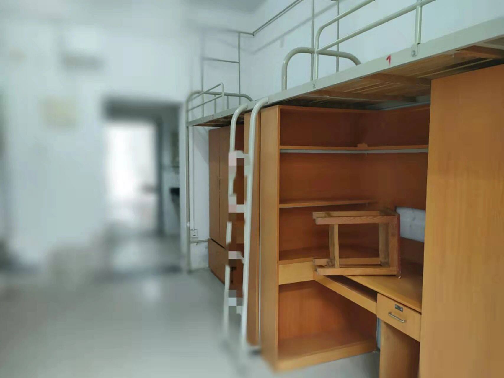 在苏大的一百天·毕业留念day 1 宿舍 这是我本科期间最后一个春天啦