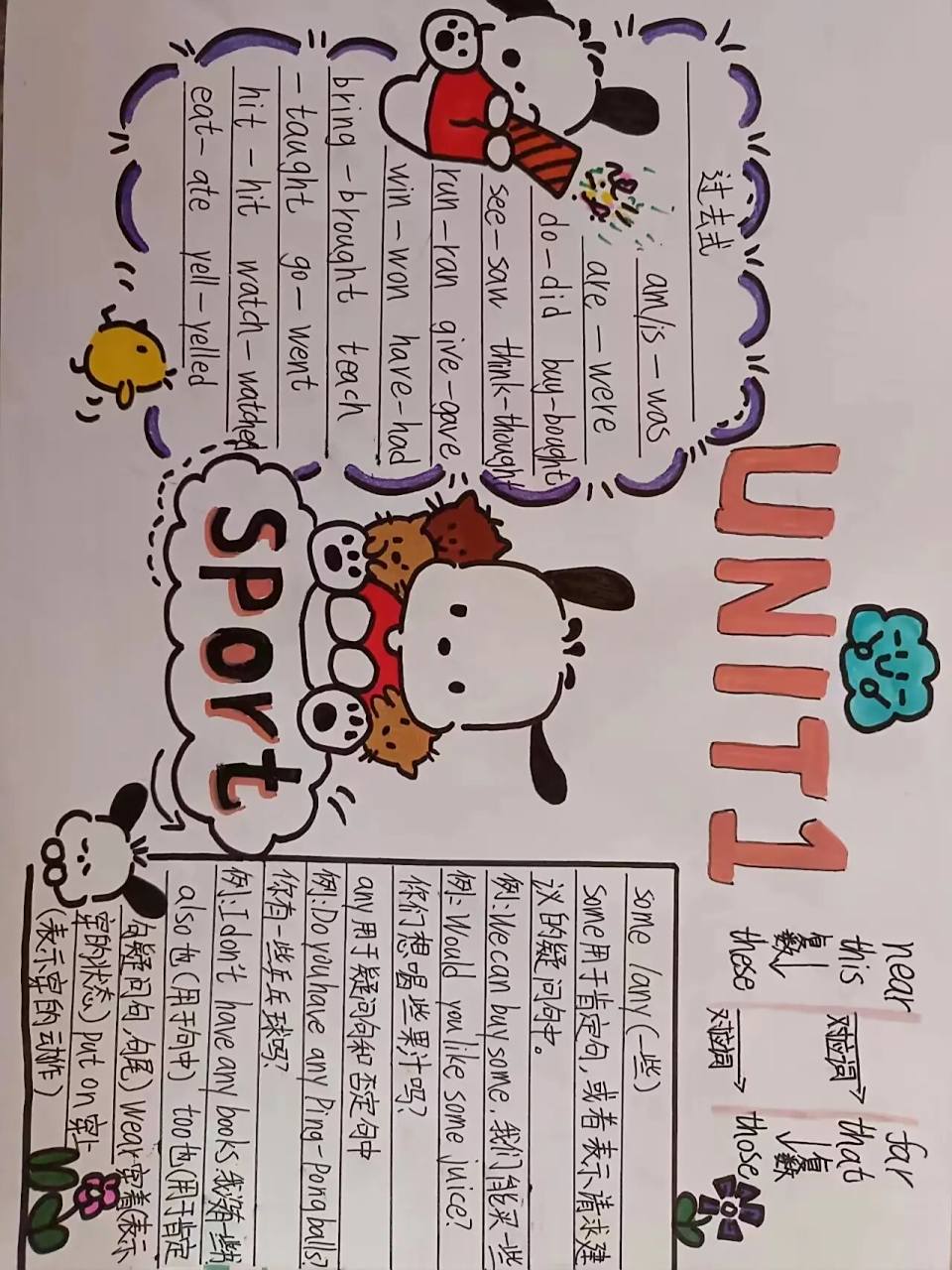 帕恰狗英语小报  六年级下册英语冀教版第一单元