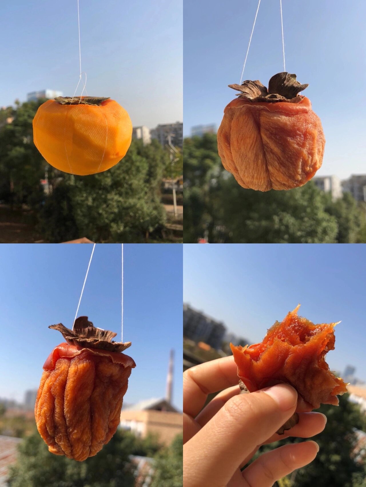 富平柿饼的制作过程图片