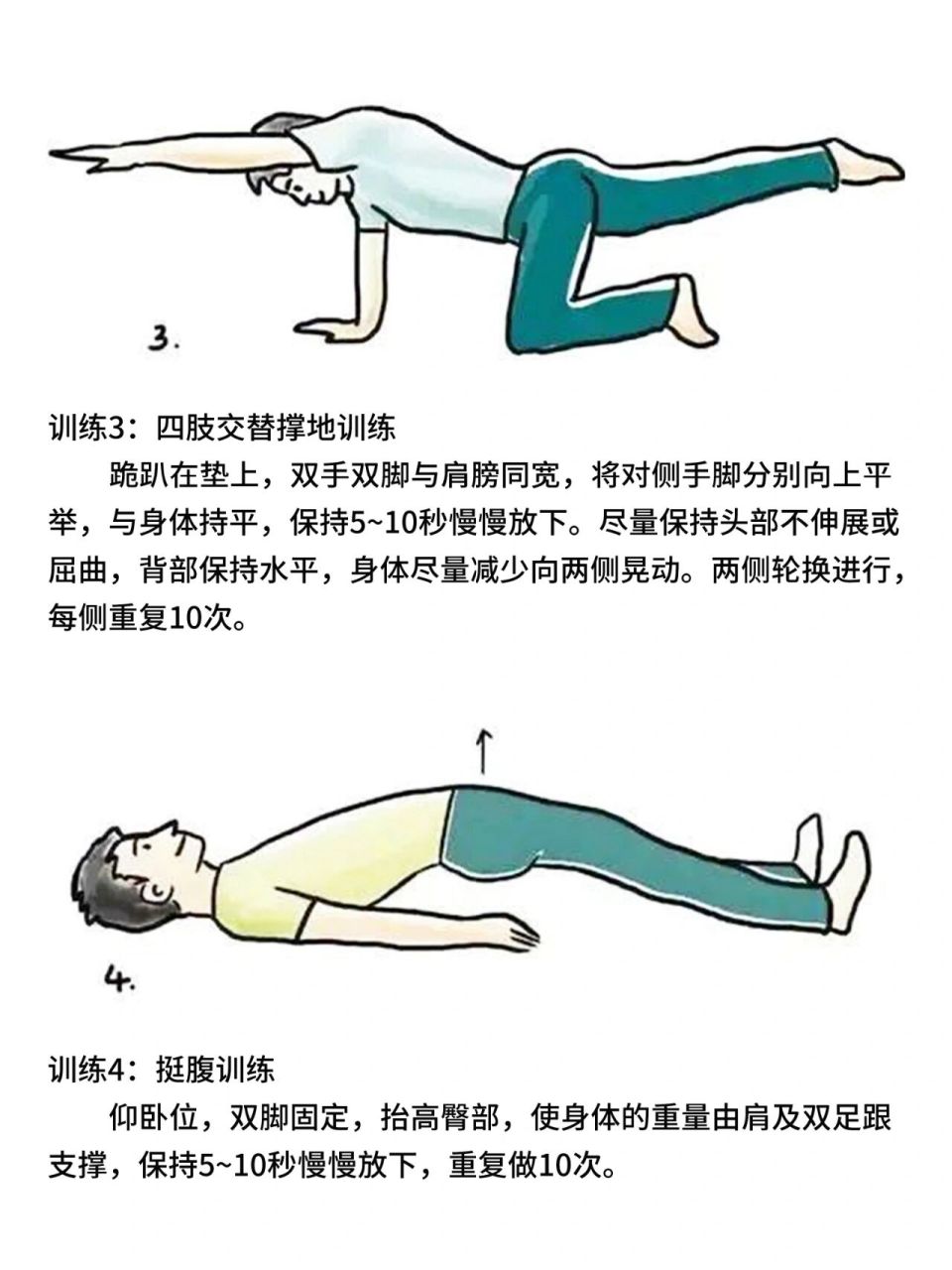 6个基本动作练腰背肌 可以缓解腰疼 腰背肌功能训练分容易,中等及高