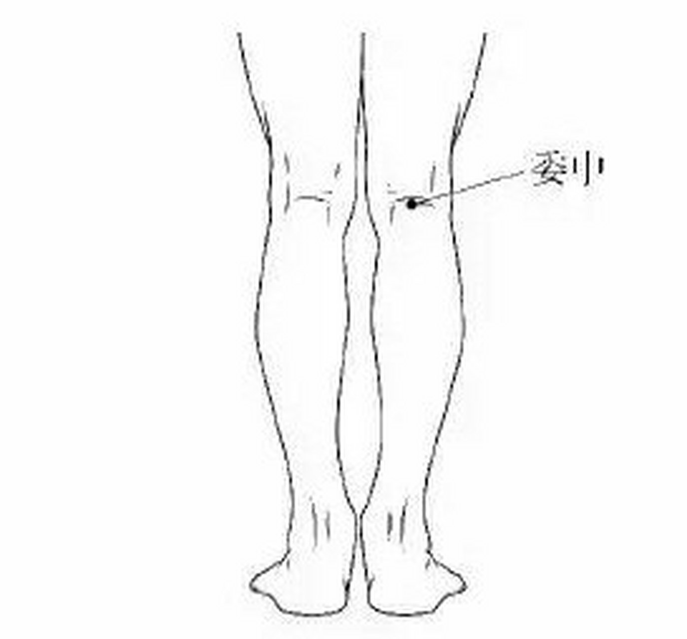 委中穴 委中穴是人体穴位之一,委中穴位置位于人体的腘横纹中点,当股