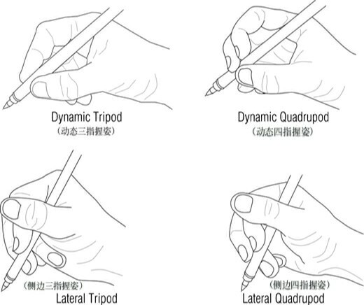 四种正确的握笔姿势