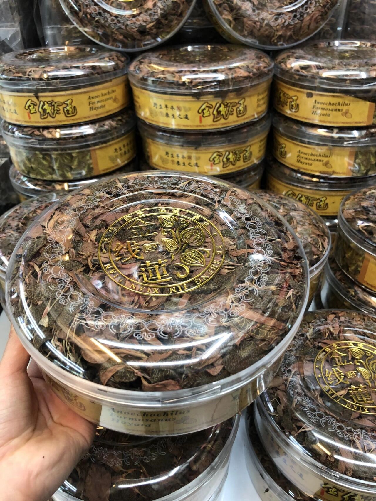 整株金线莲100克一盒今日价格:116元 整株金线莲100克一盒 今日价格