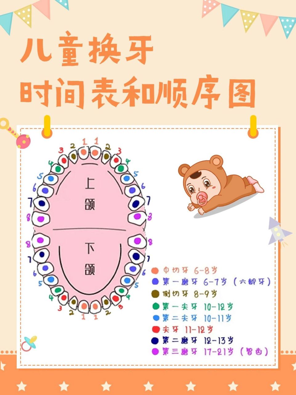 儿童换牙的时间和顺序,宝妈留意啦!