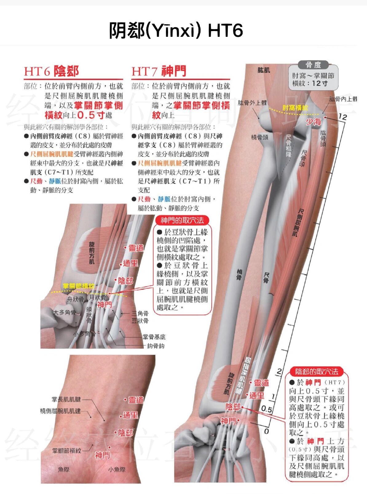 阴郄图片