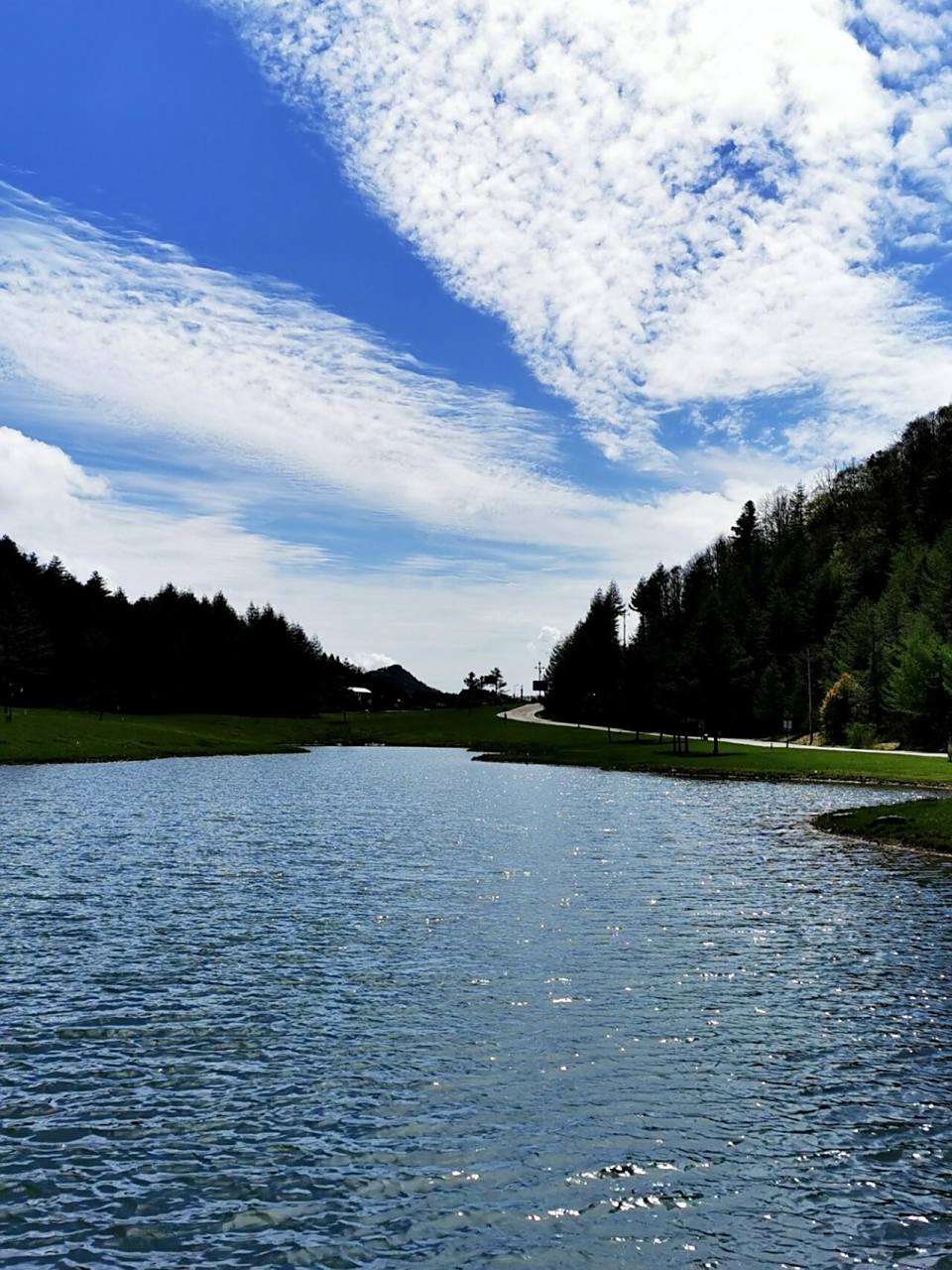 红池坝 | 高山草场 红池坝风景区位于重庆巫溪县西北部的文峰镇,距