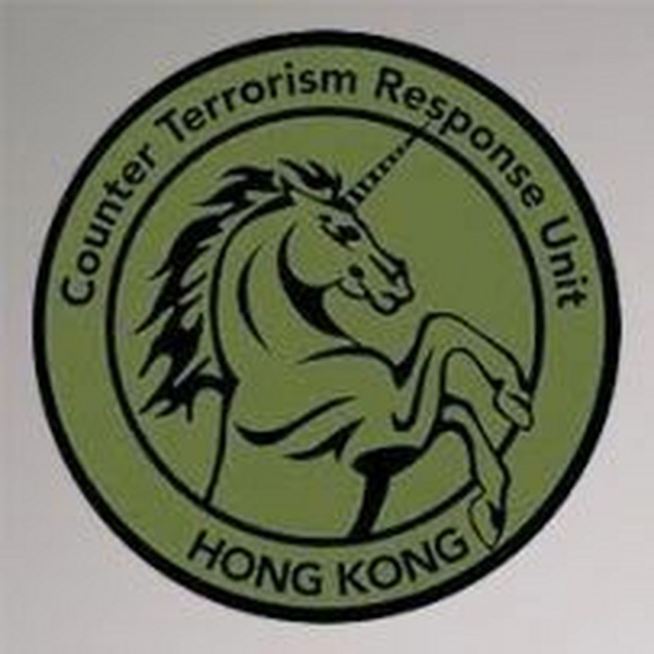 乐高香港ctru特警人仔 反恐特勤队(counter terrorism response unit