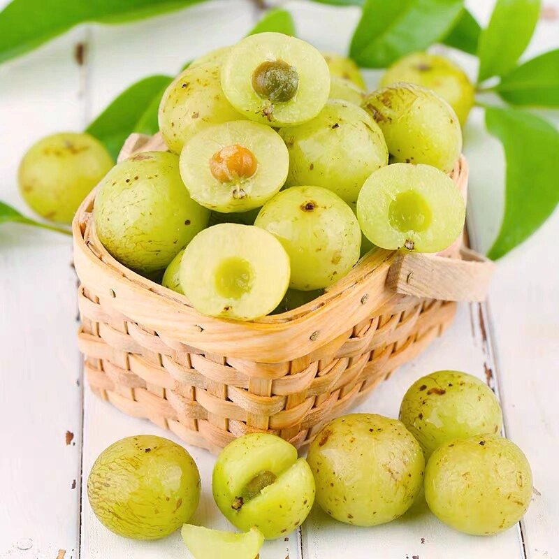 油甘果的功效与作用 1,润肺止咳 油甘果对于我们润肺止咳有一定的功效