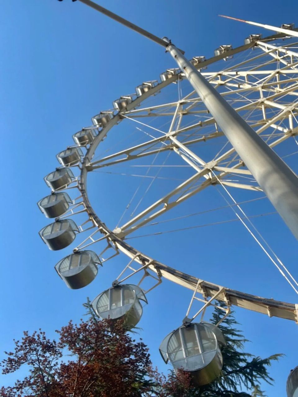 是春天的图95济宁儿童公园摩天轮好出片呐7515 春意盎然的图