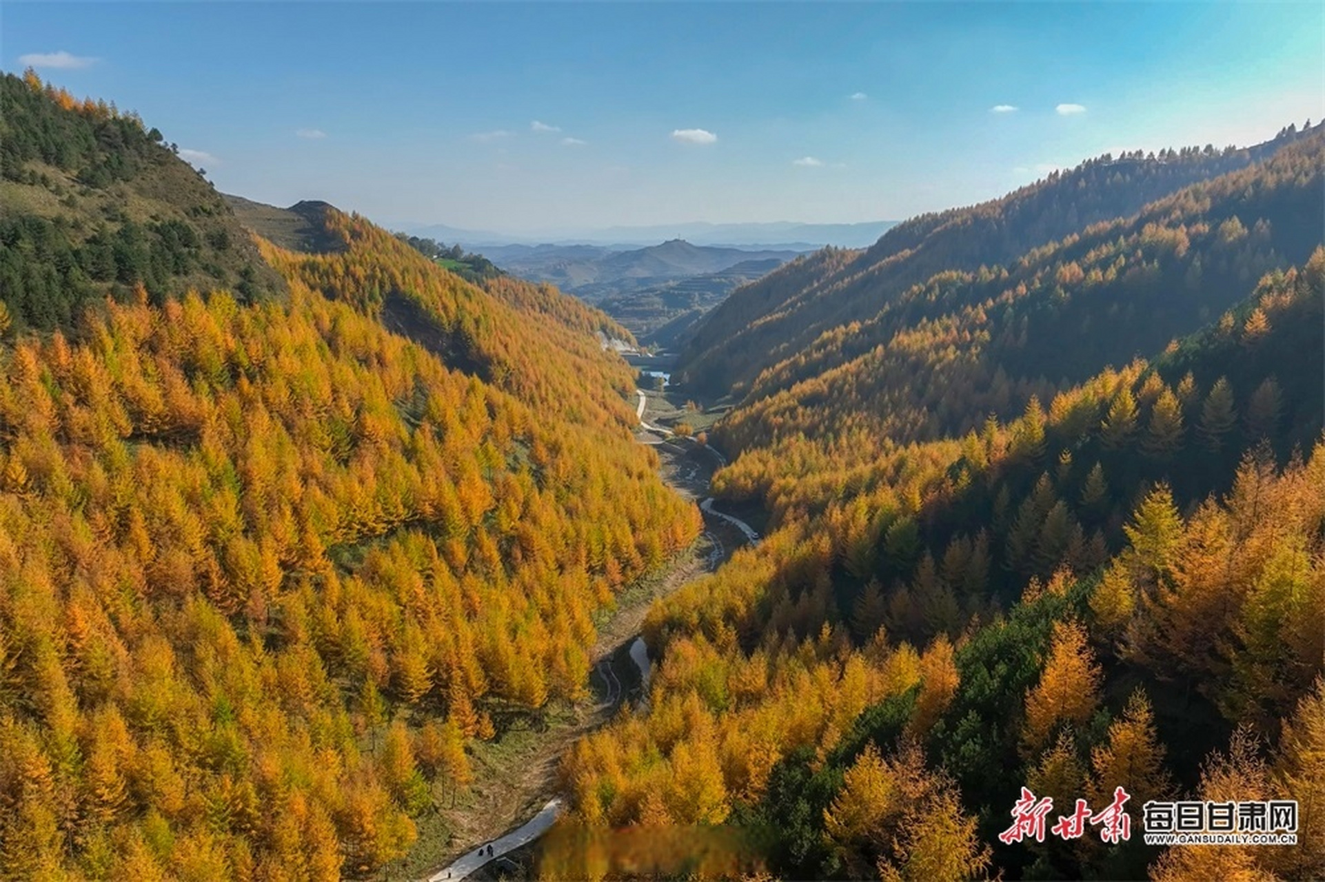 甘肃秋天有多美#陇南市西和县苏合镇的秋似油画, 快来欣赏!