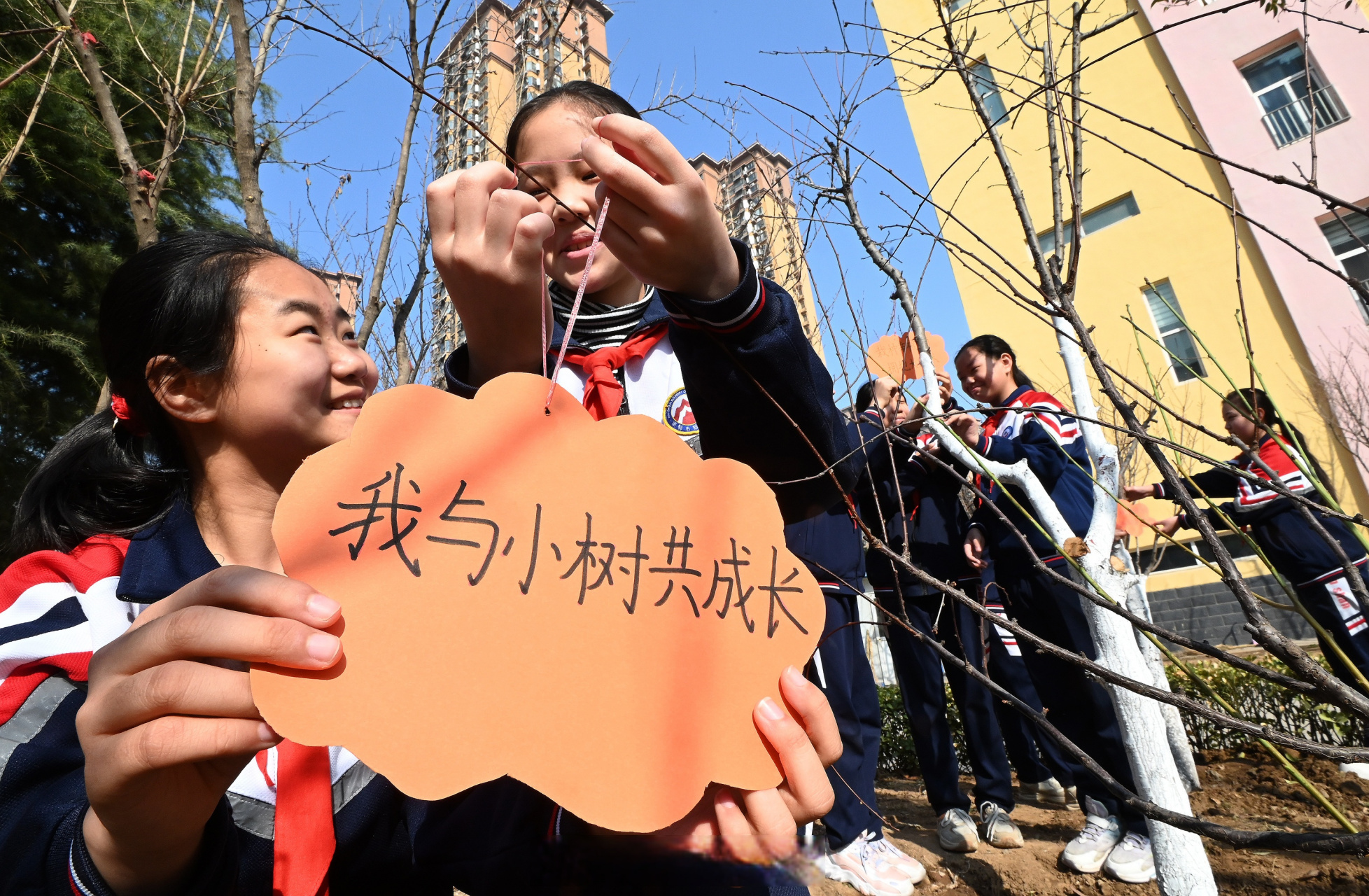 赵王小学图片