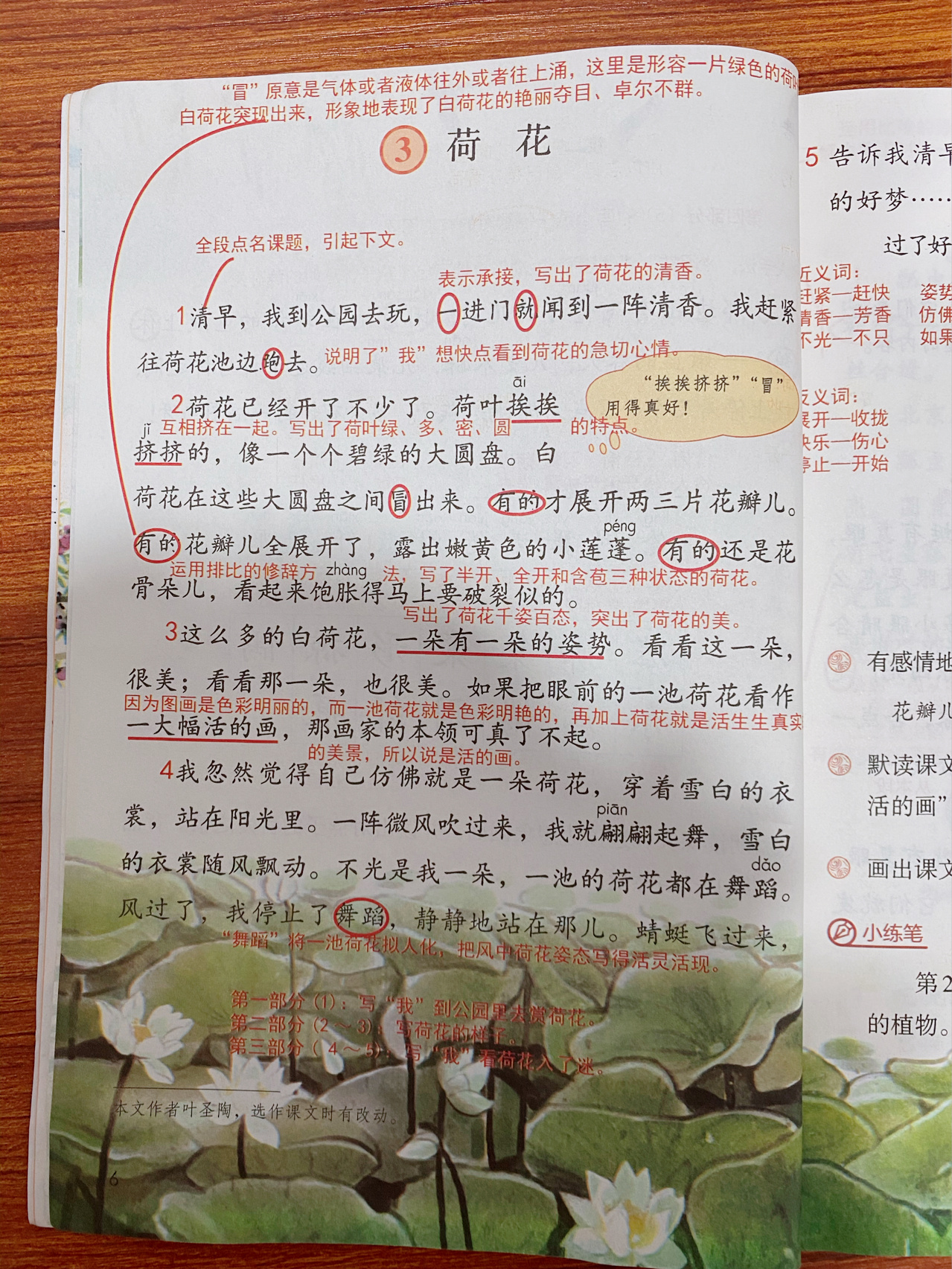 三年级语文下册3荷花 6,7页