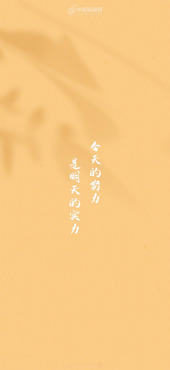 今天的努力,是明天的实力.早安