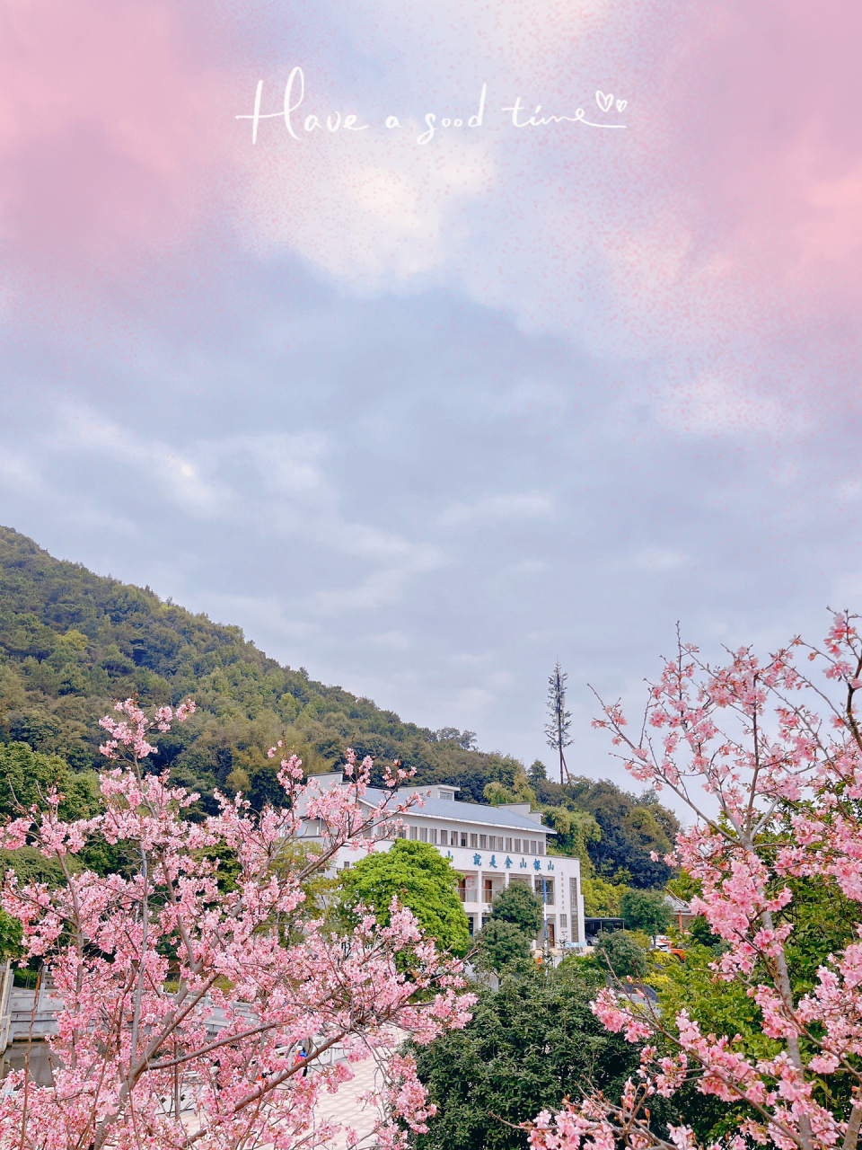 北岭山森林公园樱花图片