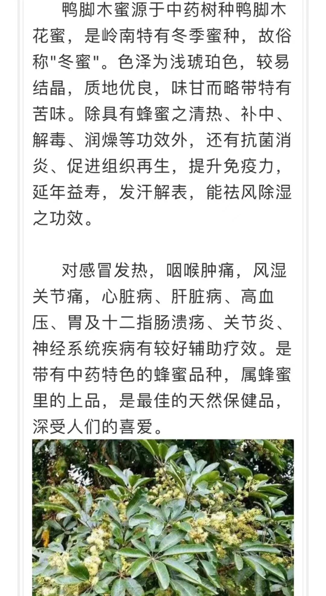 蜂蜜的作用与功效与作(蜂蜜的作用与功效与作用及禁忌) 蜂蜜的作用与功效与作(蜂蜜的作用与功效与作用及禁忌)