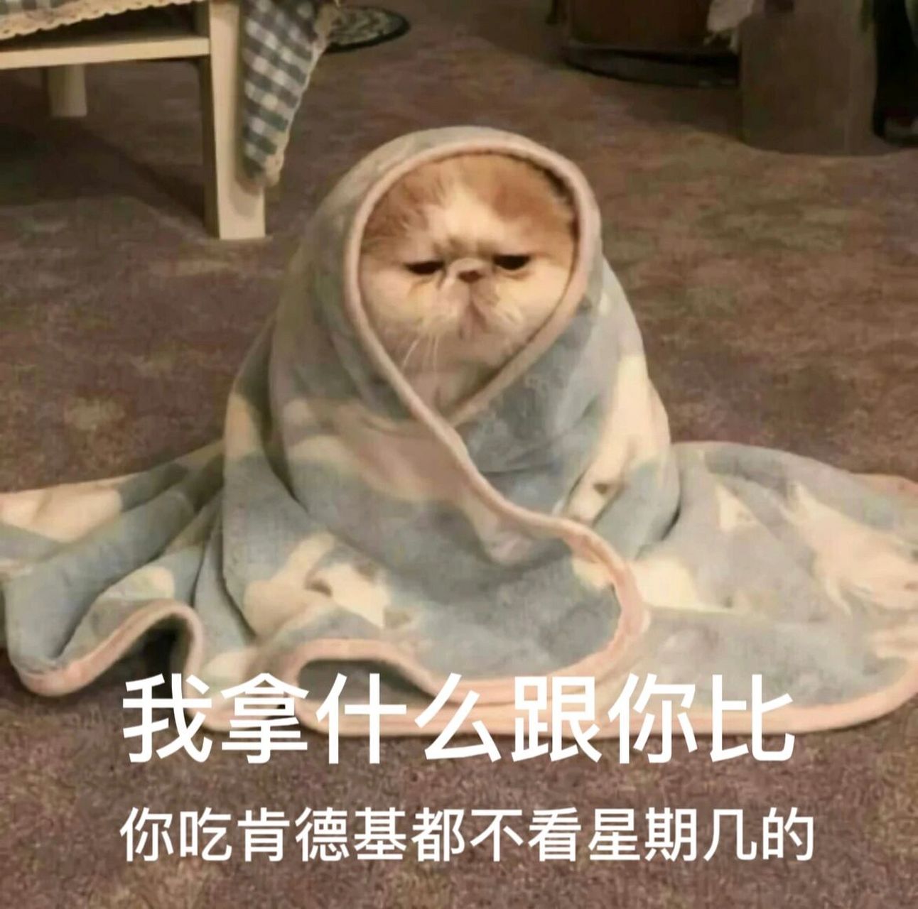 图片来源网络,创意编辑均来自本94 转载请注明出处