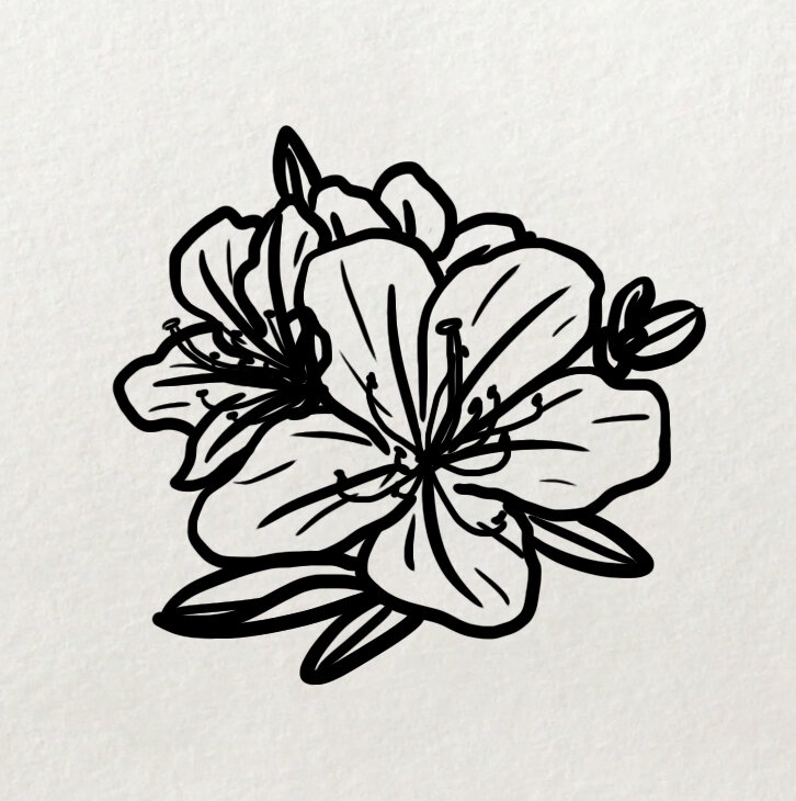 杜鹃花的简笔画法